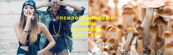 трава Богданович