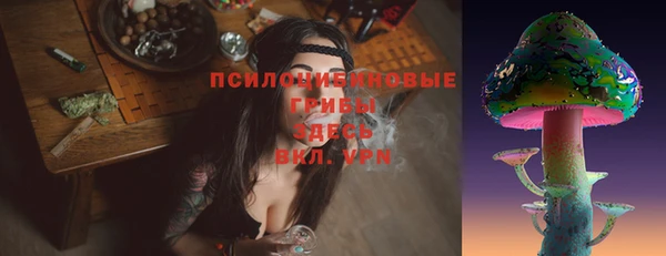 тгк Богородицк