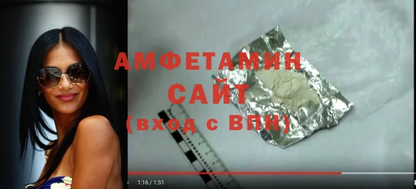 гидра Бородино