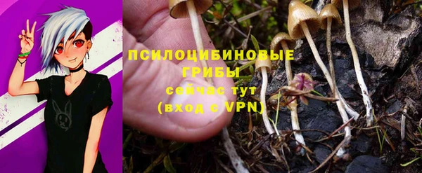 тгк Богородицк
